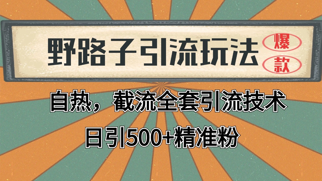 2024首发野路子引流玩法截流自热全平台打法，全自动引流【日引2000+精准客户】