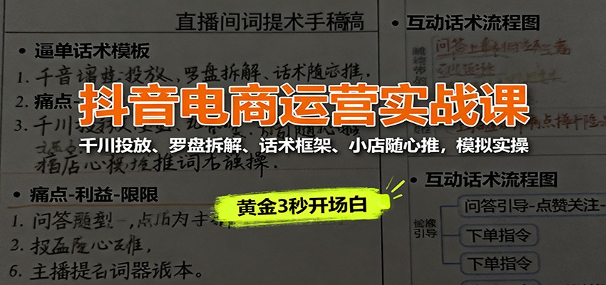 抖音电商运营实战课：千川投放、罗盘拆解、话术框架、小店随心推，模拟实操